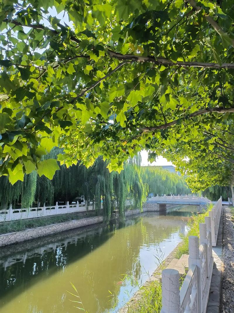 兴平金都花园