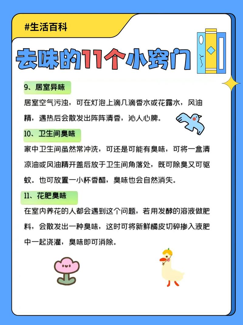 租房味道重怎么去除