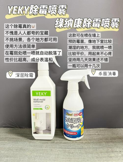 租房味道重怎么去除
