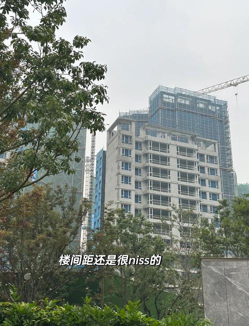 成都市锦江区新楼盘