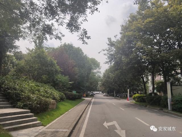 仙林亚东花园