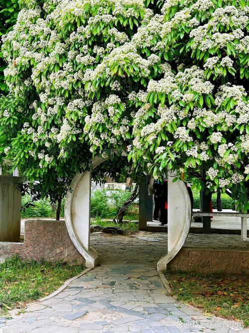 百花花园