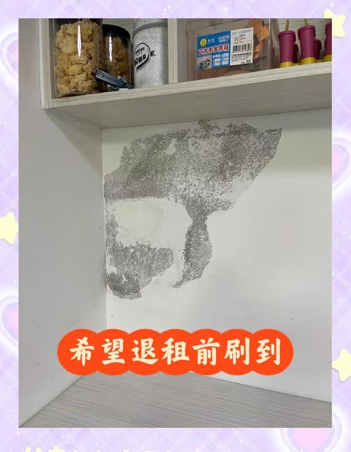 租房掉墙皮怎么补救