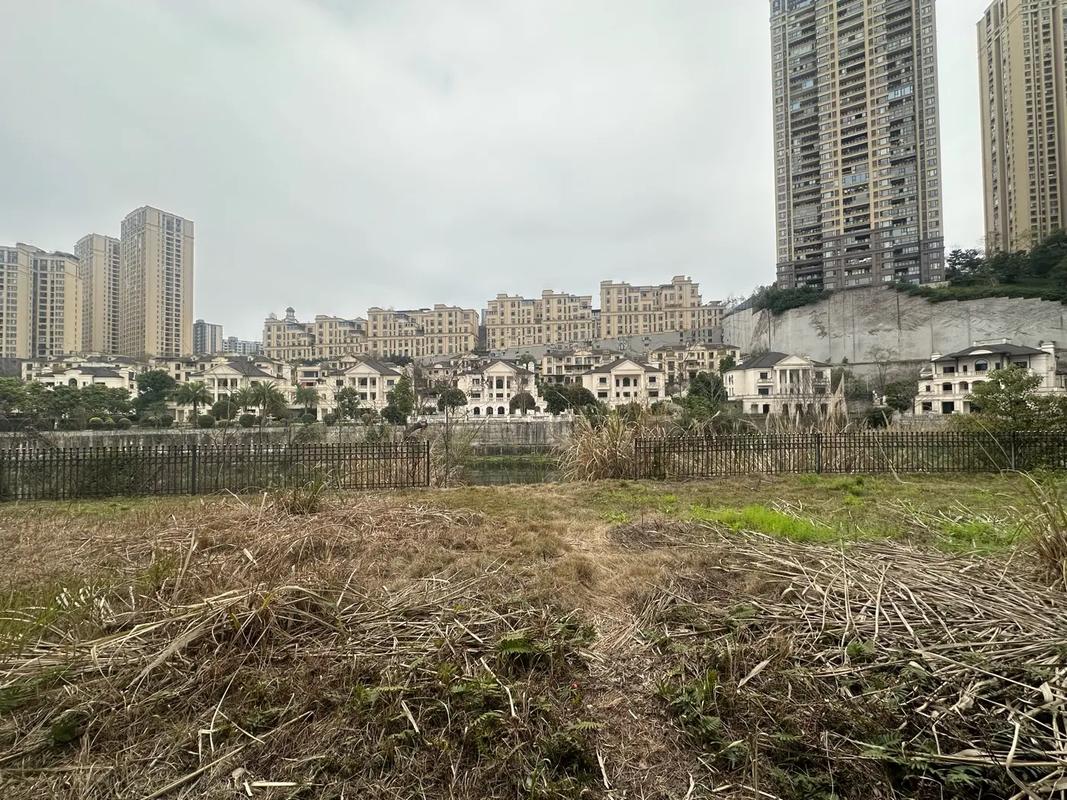 重庆照母山楼盘排行榜