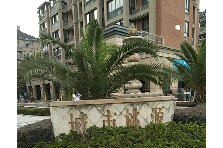 桃源县漆河最新楼盘