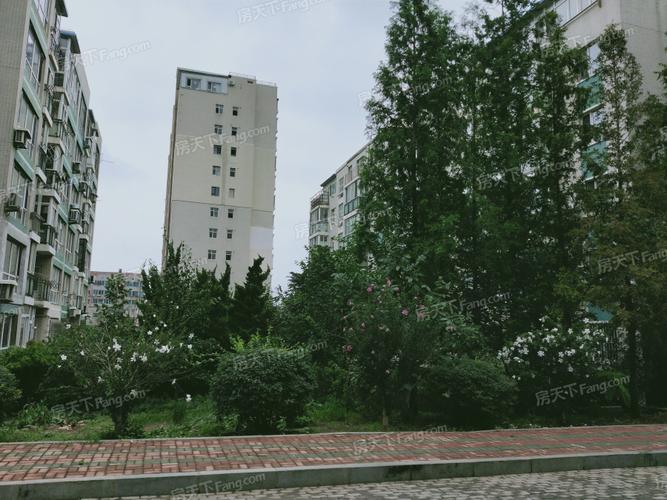 帝欧花园租房