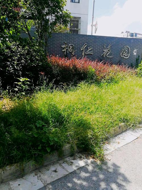 桐仁花园房价