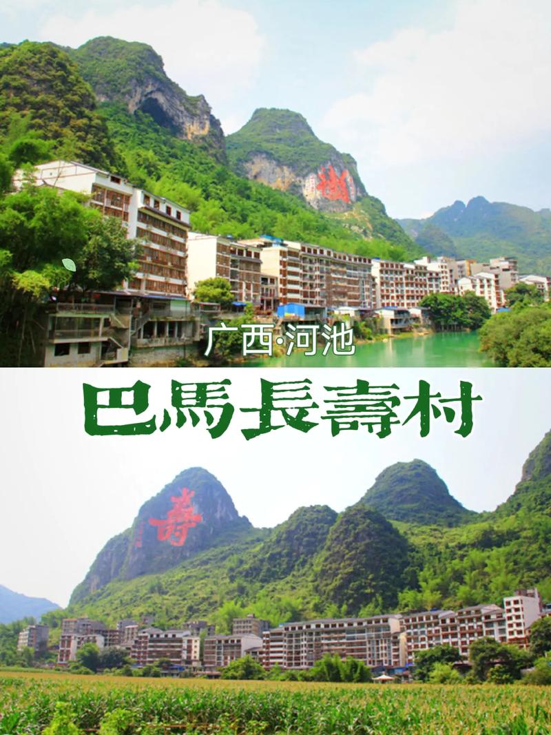 巴马长寿村怎么租房