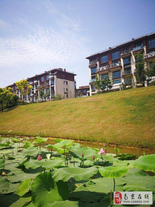 南京牛首山碧桂园楼盘