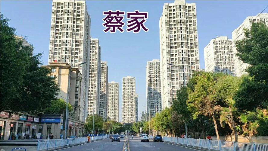 蔡家岗房价
