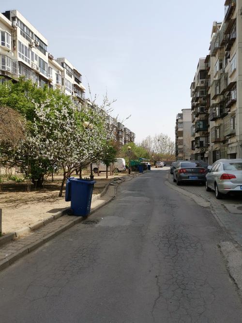 红桥龙跃花园