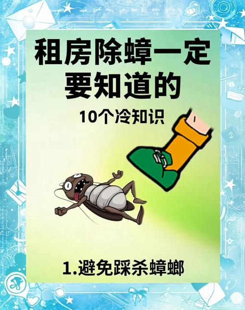 租房怎么预防虫子