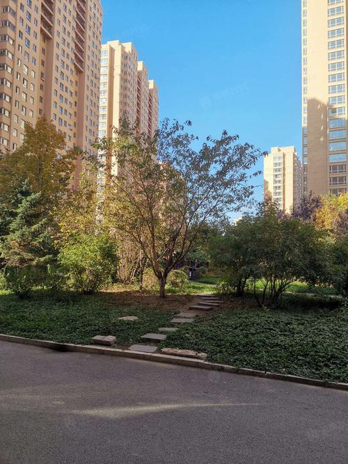 哈尔滨新三中附近楼盘