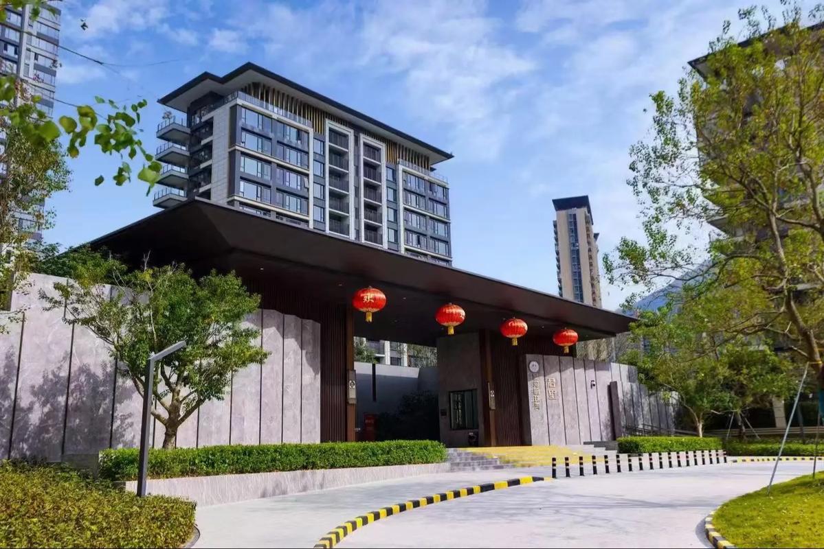 景宁外舍最大的新楼盘