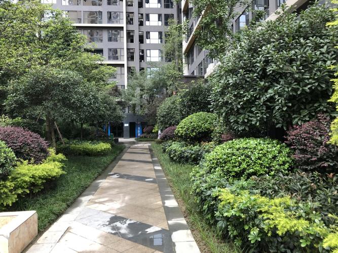 金地天府城楼盘有问题
