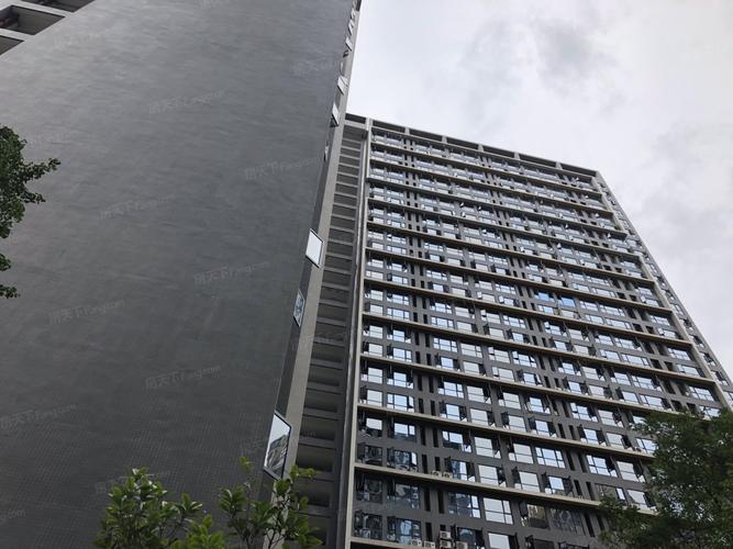 金地天府城楼盘有问题