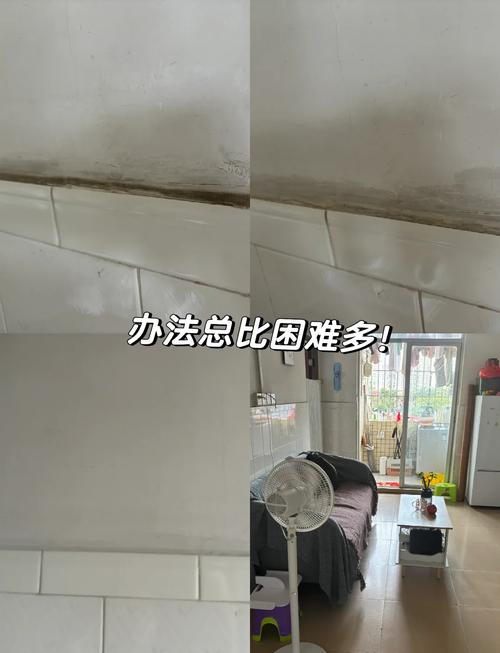 租房墙面很脏怎么处理