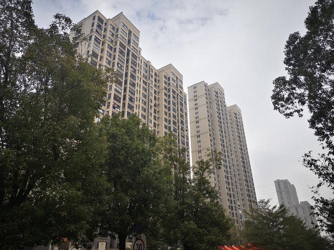 桐城市碧桂园开发楼盘