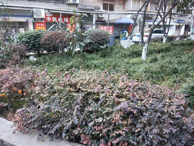 吴南花园西区