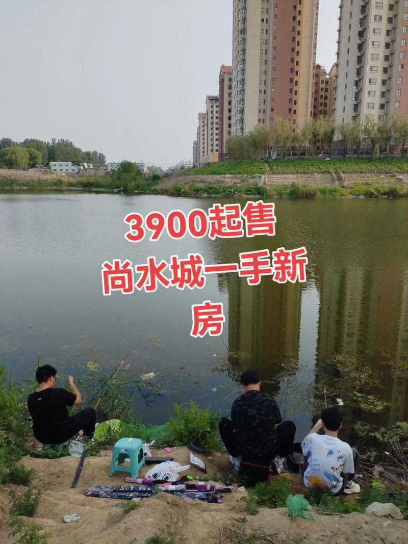 大厂楼盘房价最新消息