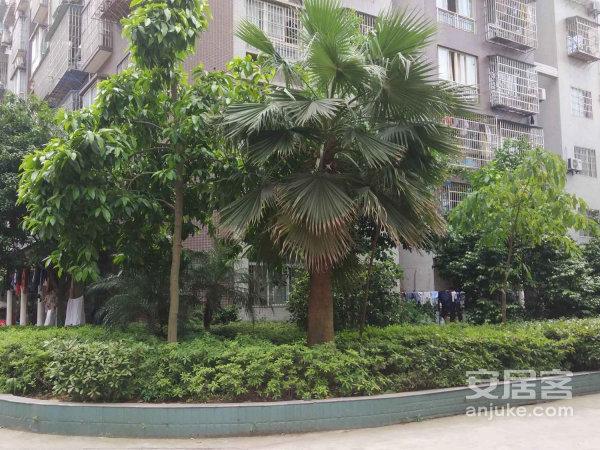 江津津都花园