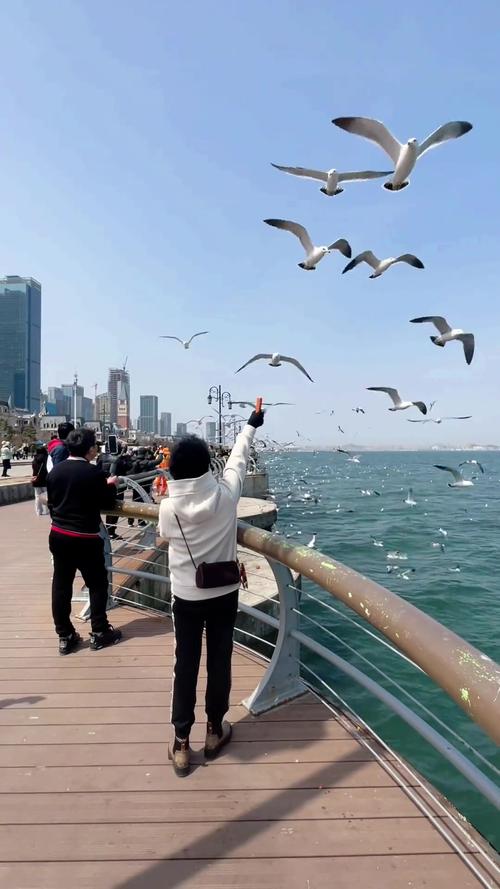 东港海鸥花园