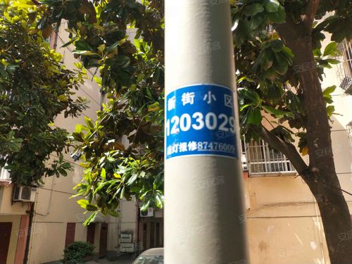 新街镇房价