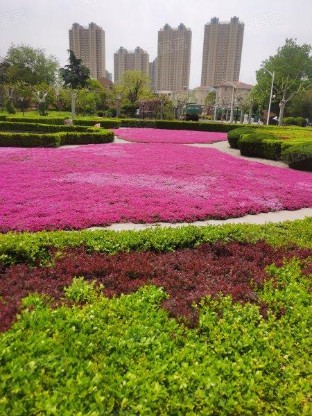 临沂佳兴花园