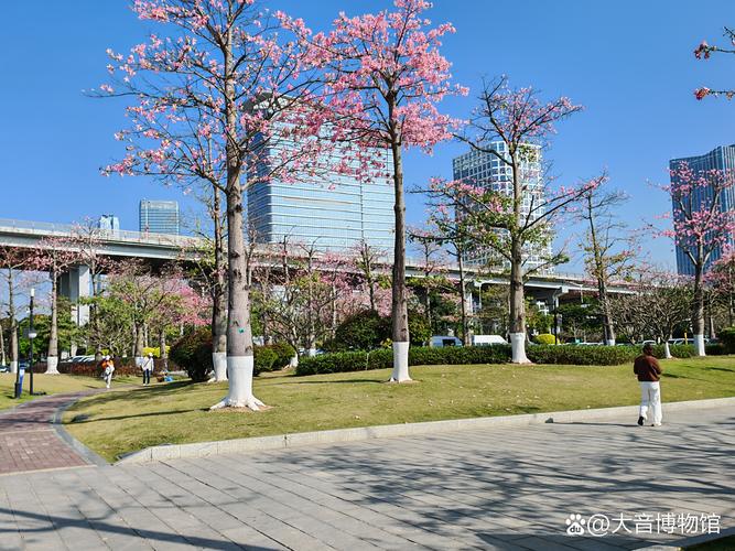 珠海中立花园