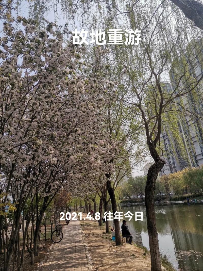 济南龙悦花园