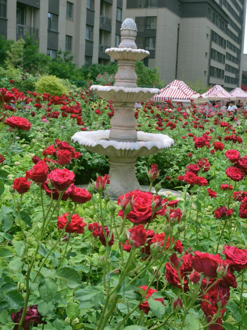 德意义和花园
