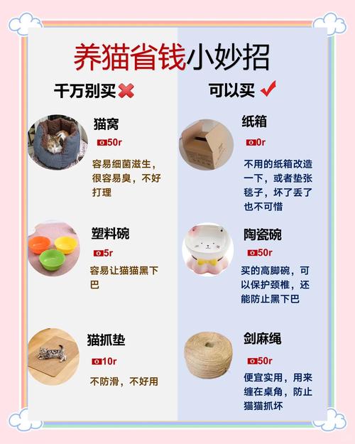 租房猫怎么养