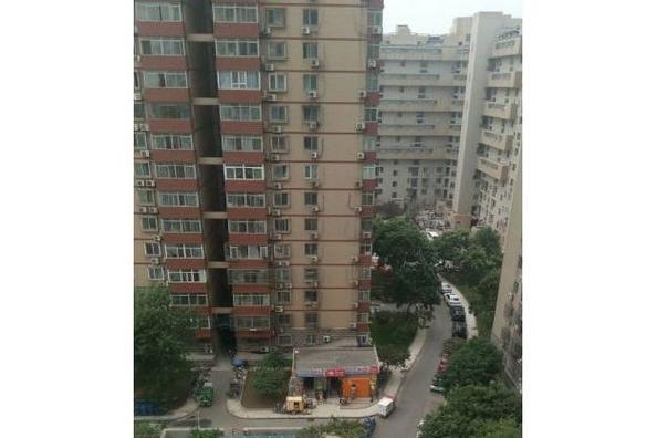 庄维花园乱
