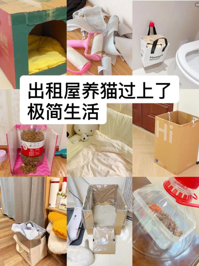 养猫人怎么租房