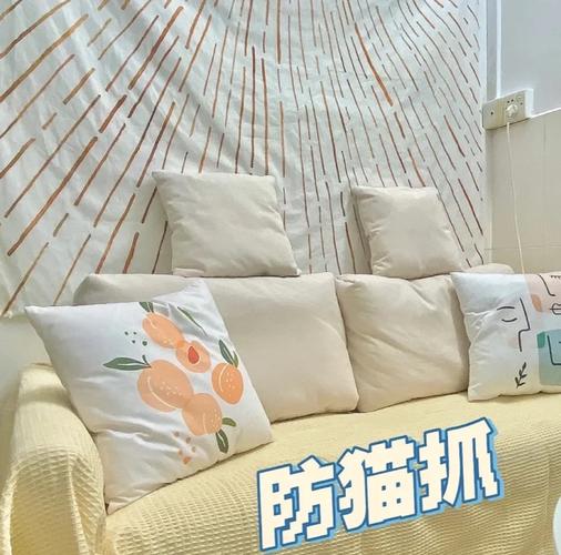 养猫人怎么租房