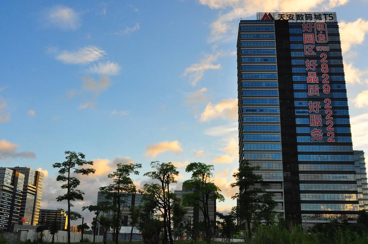 东莞凤岗雁田新楼盘