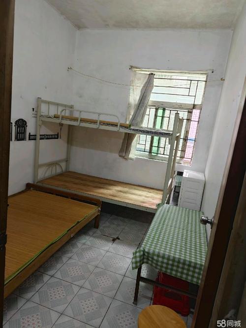 新南怎么租房