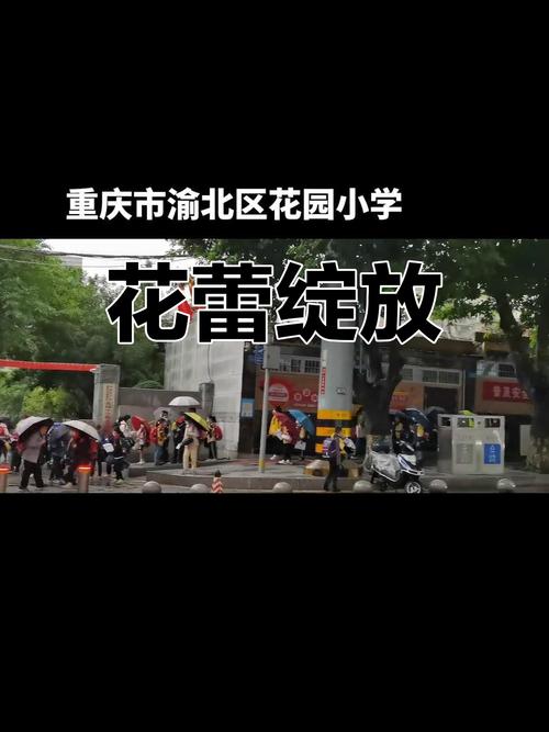 临汾花园对口小学