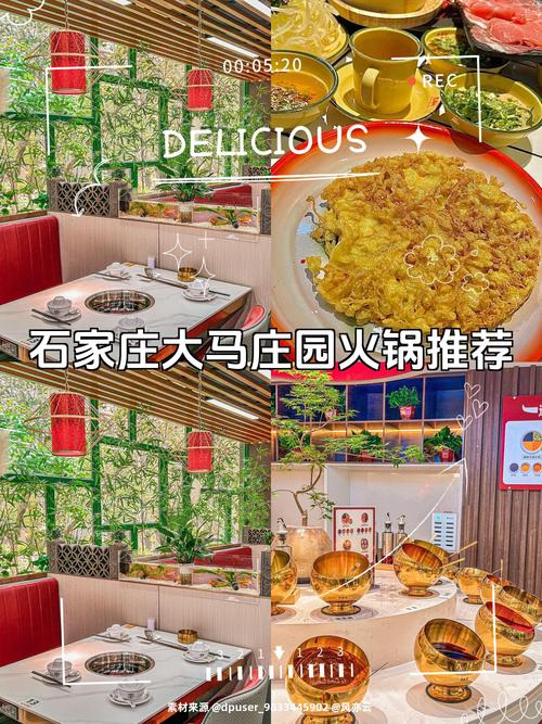 石家庄大马庄园房价