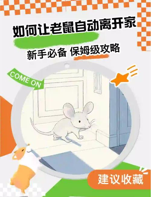 租房怎么避免老鼠