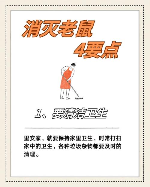 租房怎么避免老鼠