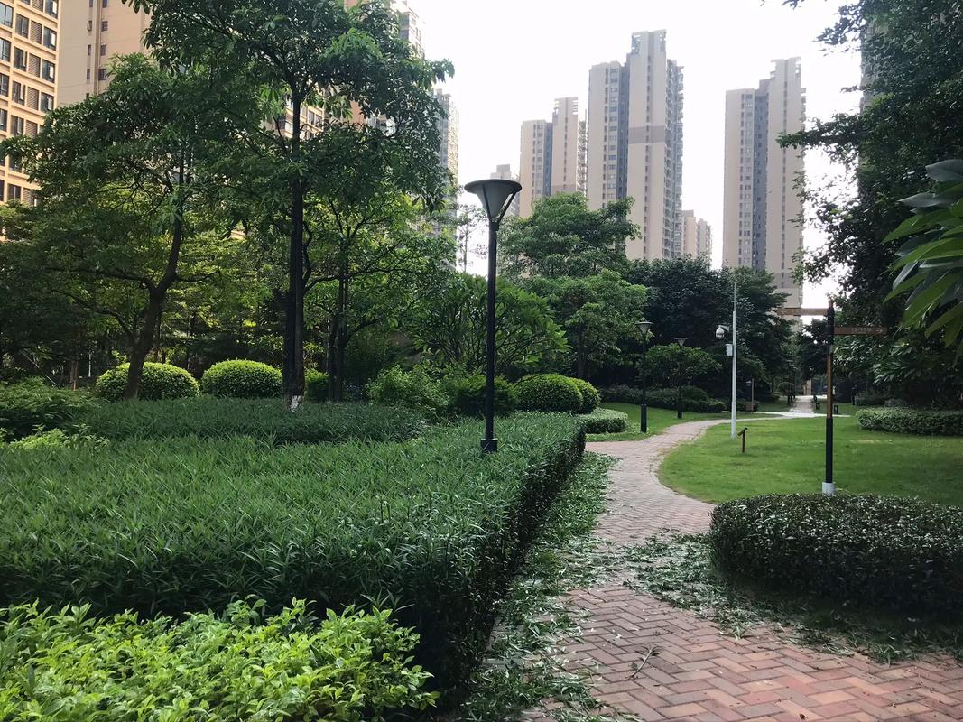 佛山保利西雅图房价
