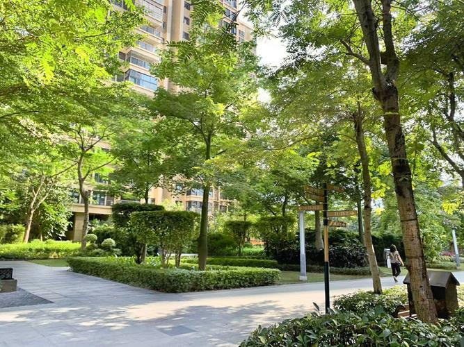 佛山保利西雅图房价