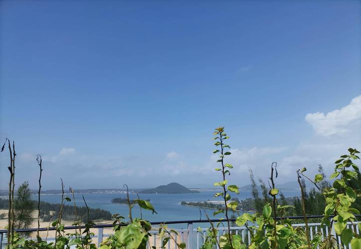 黎安镇房价