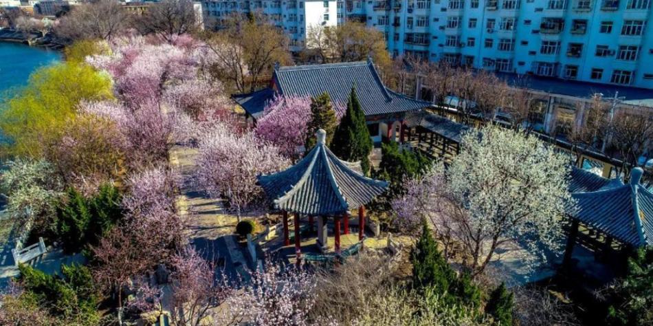 上海曹家花园
