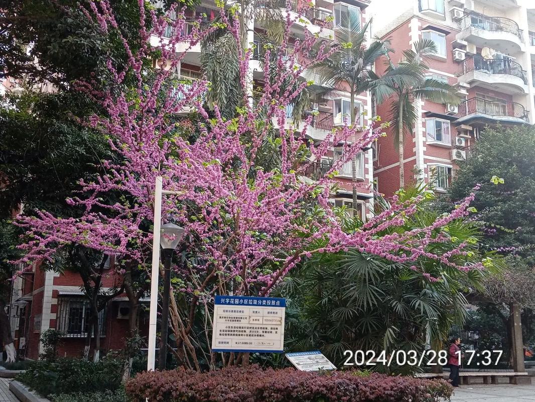 重庆兴宇花园