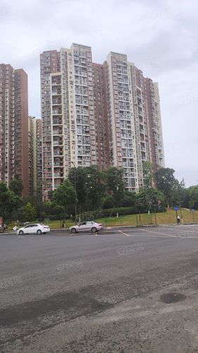 红枫岭房价