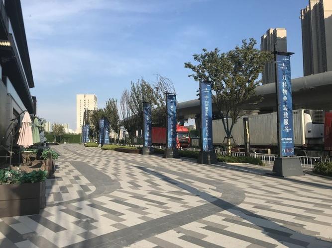 南京江宁九龙湖楼盘