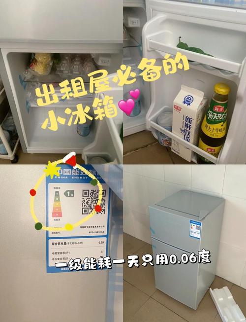 冰箱怎么买租房
