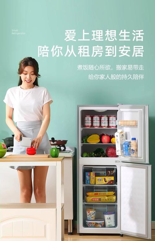 冰箱怎么买租房